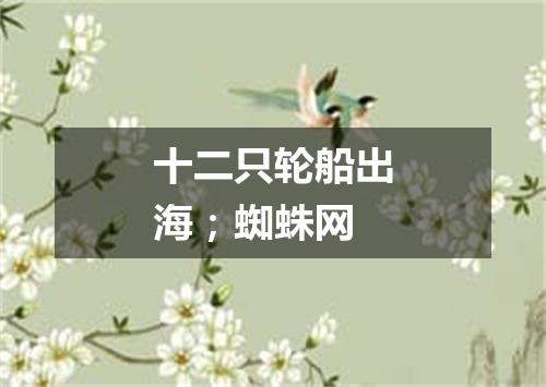 十二只轮船出海；蜘蛛网