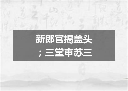 新郎官揭盖头；三堂审苏三