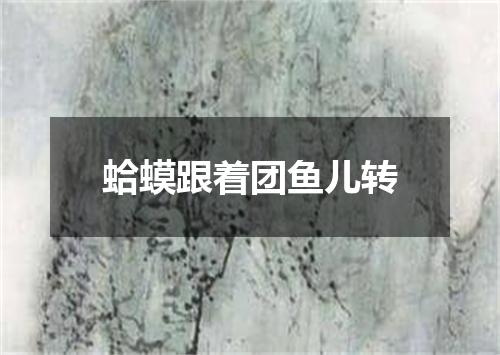 蛤蟆跟着团鱼儿转