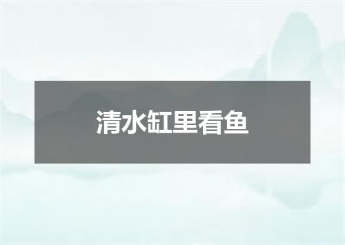 清水缸里看鱼