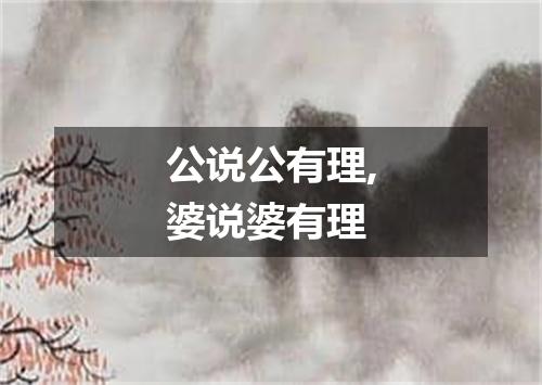公说公有理,婆说婆有理