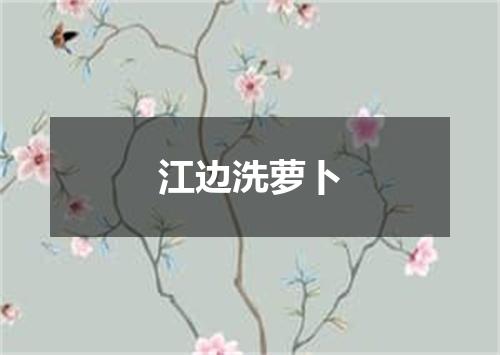 江边洗萝卜