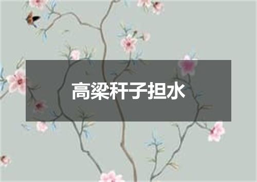 高梁秆子担水