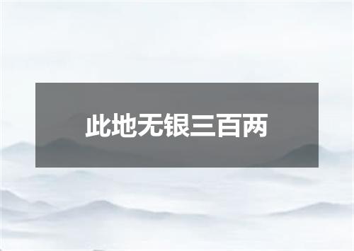此地无银三百两