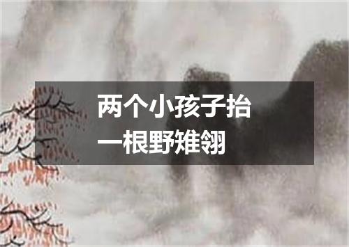 两个小孩子抬一根野雉翎