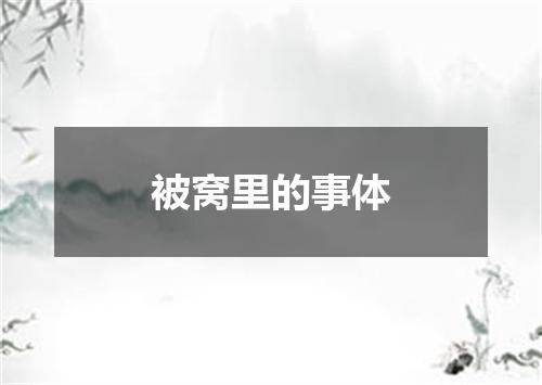 被窝里的事体