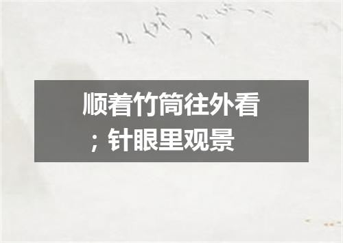 顺着竹筒往外看；针眼里观景