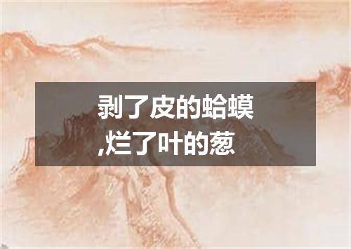 剥了皮的蛤蟆,烂了叶的葱