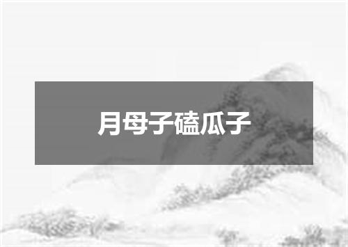 月母子磕瓜子