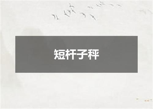 短杆子秤