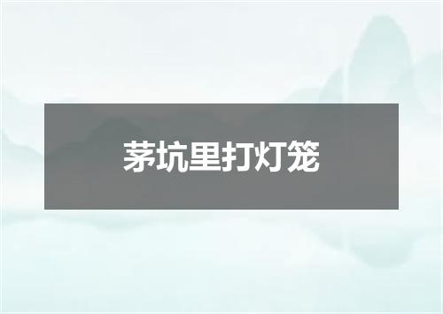 茅坑里打灯笼