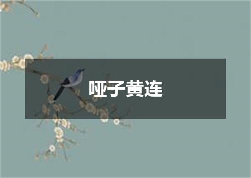 哑子黄连