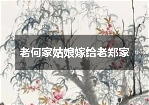 老何家姑娘嫁给老郑家