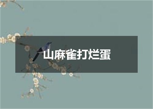 山麻雀打烂蛋