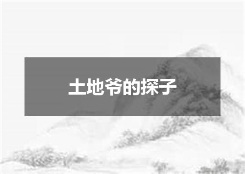 土地爷的探子