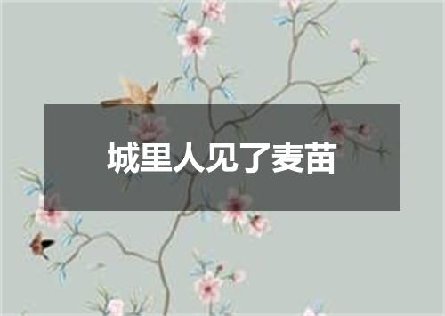 城里人见了麦苗