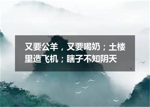 又要公羊，又要喝奶；土楼里造飞机；瞎子不知阴天