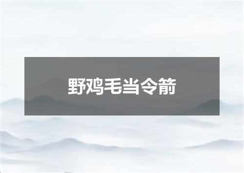 野鸡毛当令箭