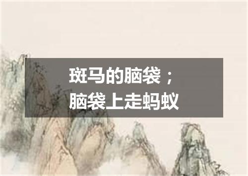 斑马的脑袋；脑袋上走蚂蚁