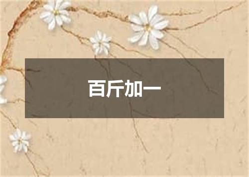 百斤加一