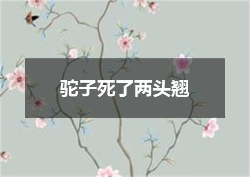 驼子死了两头翘