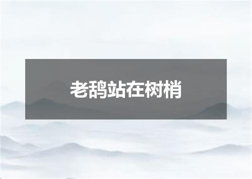 老鸹站在树梢