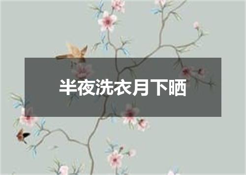 半夜洗衣月下晒