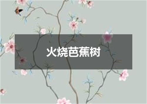 火烧芭蕉树