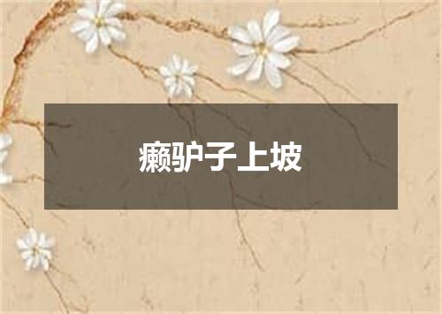 癞驴子上坡