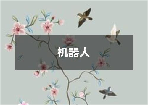 机器人