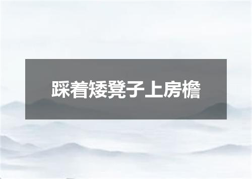 踩着矮凳子上房檐
