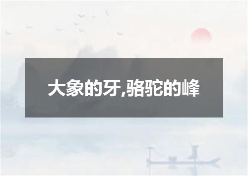 大象的牙,骆驼的峰