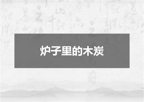炉子里的木炭