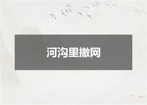 河沟里撤网