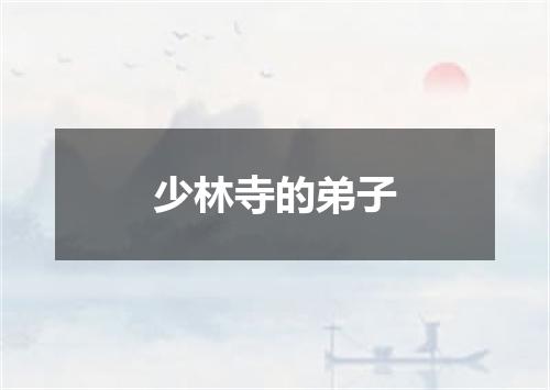 少林寺的弟子