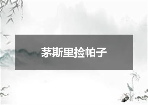 茅斯里捡帕子