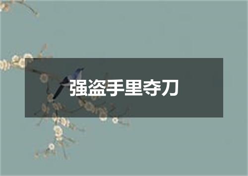 强盗手里夺刀