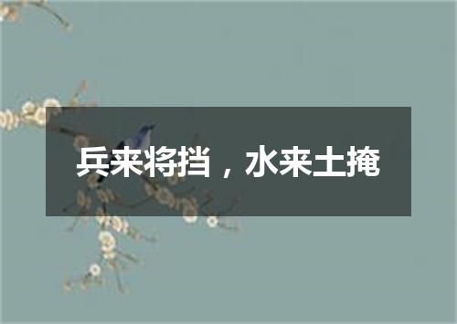 兵来将挡，水来土掩
