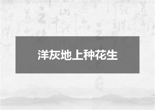 洋灰地上种花生