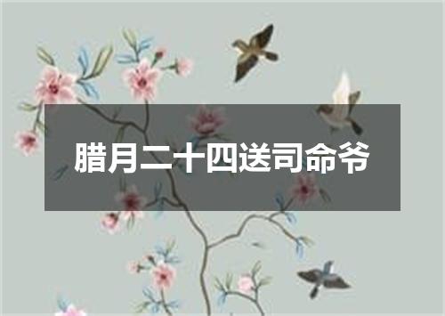 腊月二十四送司命爷