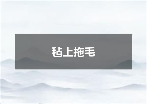 毡上拖毛