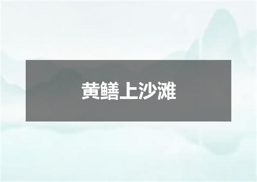 黄鳝上沙滩