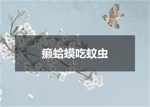 癞蛤蟆吃蚊虫