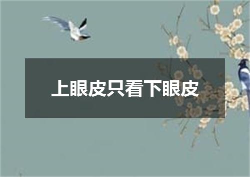 上眼皮只看下眼皮
