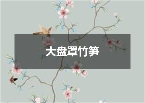 大盘罩竹笋