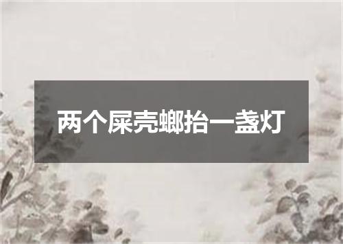 两个屎壳螂抬一盏灯