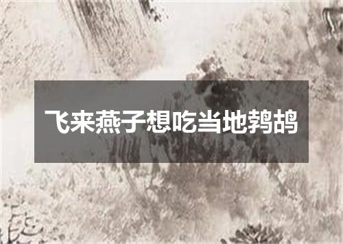 飞来燕子想吃当地鹁鸪