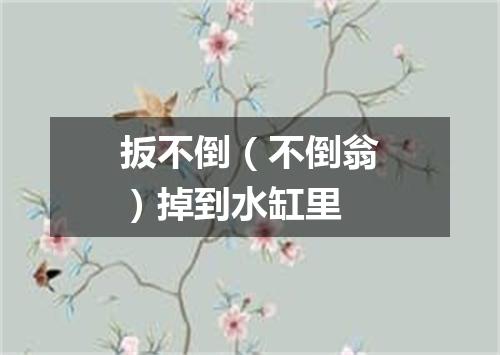 扳不倒（不倒翁）掉到水缸里