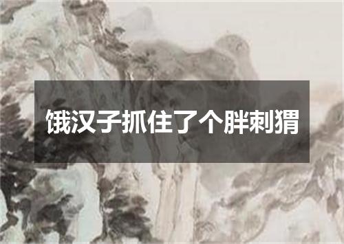 饿汉子抓住了个胖刺猬