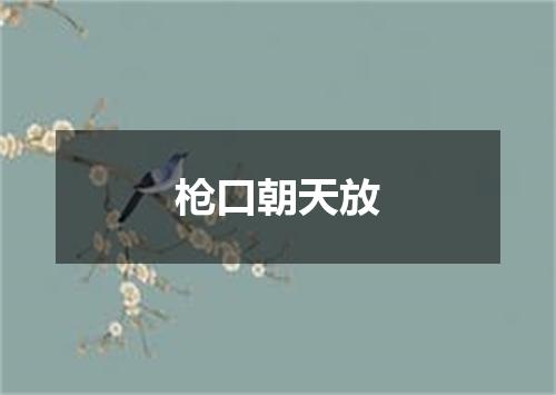 枪口朝天放